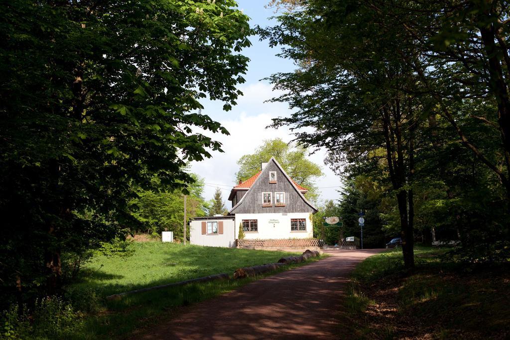 Sängerwiese Apartment